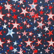 Stary Night